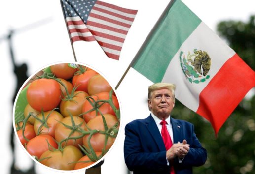 Habrá negociaciones con Estados Unidos sobre aranceles al jitomate mexicano: Sader