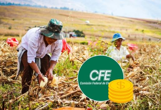 Denuncian presuntos abusos de CFE contra campesinos de Veracruz (+VIDEO)