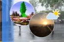 Así estará el clima en Xalapa hoy martes 15 de abril: ¡hará calor!