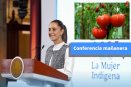 Lo mejor de la conferencia mañanera de Claudia Sheinbaum hoy 15 de abril