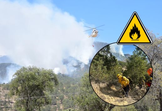 Por aire y tierra, combaten incendio en el Pico de Orizaba, del lado de Puebla
