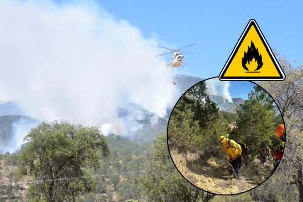Por aire y tierra, combaten incendio en el Pico de Orizaba, del lado de Puebla