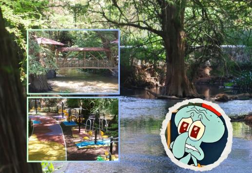 La Ciudad de los Ahuehuetes: un santuario natural en Veracruz