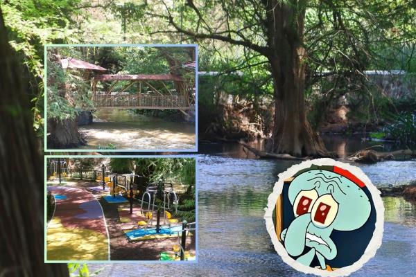 La Ciudad de los Ahuehuetes: un santuario natural en Veracruz