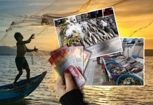 Estos son los precios del pescado esta Semana Santa en Veracruz 