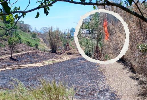 Se incendia pastizal en colonia Gutiérrez Barrios, cerca de Xalapa