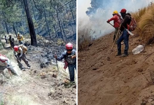 Liquidan incendio en el Pico de Orizaba; habrían sido 200 hectáreas afectadas
