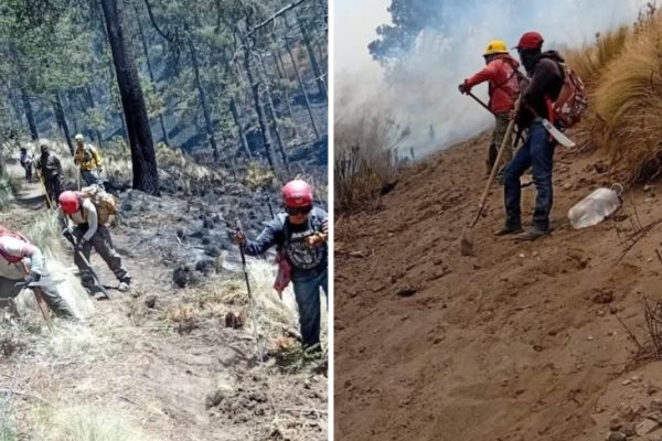 Liquidan incendio en el Pico de Orizaba; habrían sido 200 hectáreas afectadas