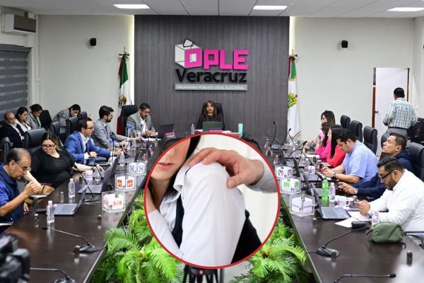 INE resolverá nuevamente si remueve o no a consejero del OPLE Veracruz por presunto acoso