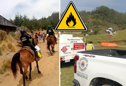 Refuerzan combate a incendio en Cofre de Perote con casi 600 brigadistas