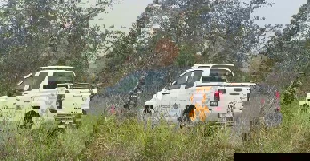 Colectivos buscan restos humanos en predios entre Poza Rica y Coatzintla