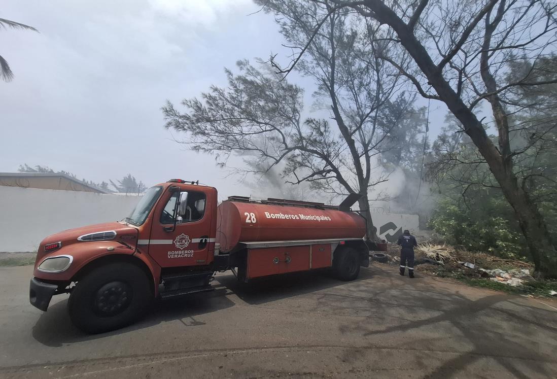 Bomberos municipales combaten incendio de basura al costado de Conalep de Veracruz
