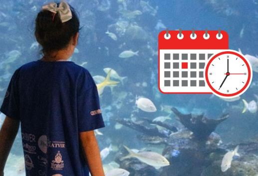 Campamento Nocturno en el Aquarium de Veracruz: fechas y horarios