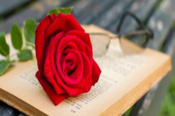 ¿Un libro y una rosa? Descubre por qué se regalan cada 23 de abril 