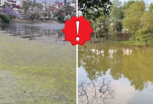 No hay acciones para sanear lagos contaminados en Xalapa, denuncia activista