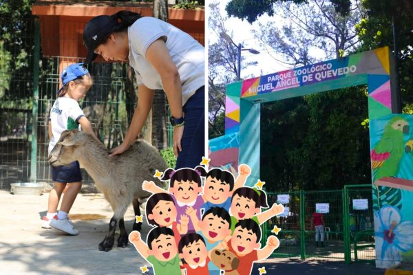 Zoológico de Veracruz: Estas son las actividades que podrás realizar este Día del Niño