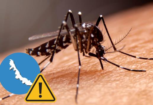 Estos son los municipios en Veracruz con más casos de dengue