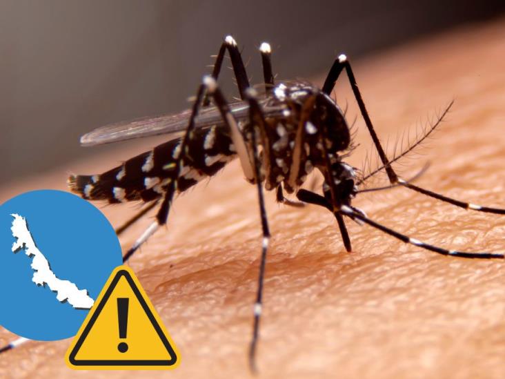 Estos son los municipios en Veracruz con más casos de dengue