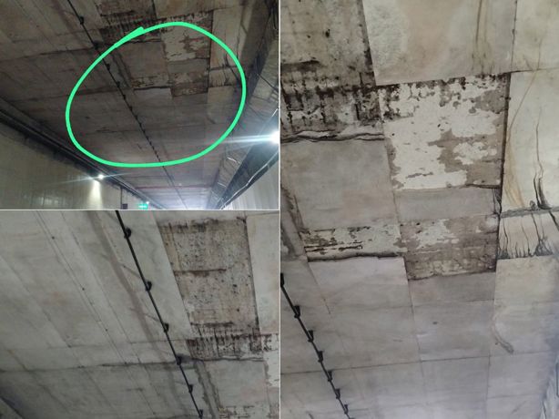 Túnel Sumergido: daños en losas generan alarma, conductores urgen mantenimiento