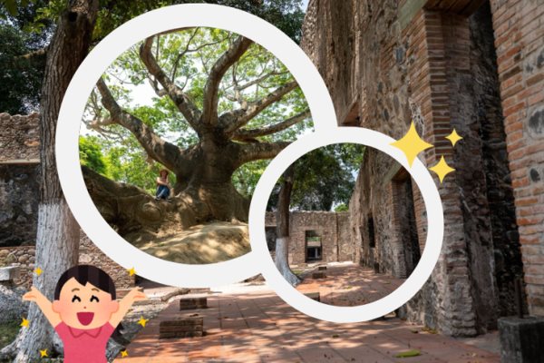 ¿Ya conoces La Antigua?, joya histórica y natural en Veracruz
