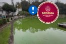 Sedema pide a Xalapa identificar contaminantes en Paseo de Los Lagos