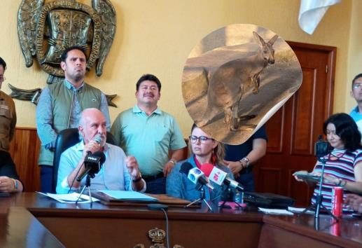 Alcalde señala a medios; ya hay denuncia por muerte de canguro en UMA de Orizaba (+Video)