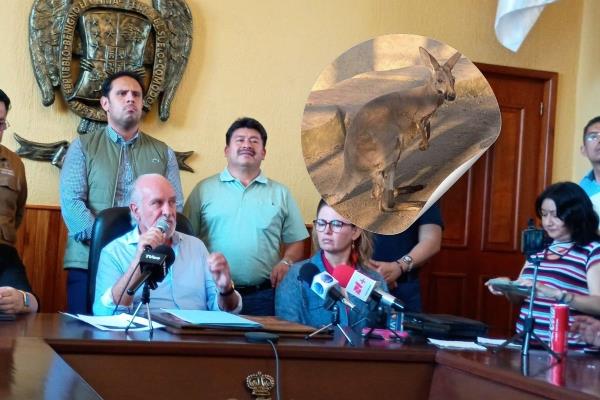 Alcalde señala a medios; ya hay denuncia por muerte de canguro en UMA de Orizaba (+Video)