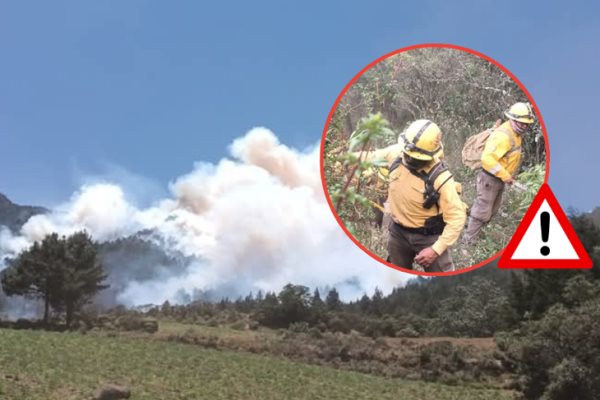 Imparables, los incendios forestales en región del Cofre de Perote; suma uno más 
