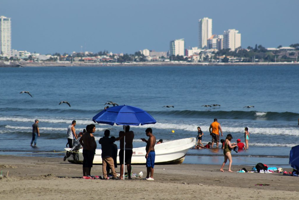 ¡No entres en pánico! esto debes hacer si ves un tiburón en la playa