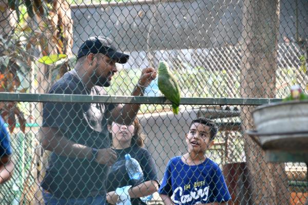 Este es el horario en que el zoológico de Veracruz recibirá gratis a los niños el 30 de abril