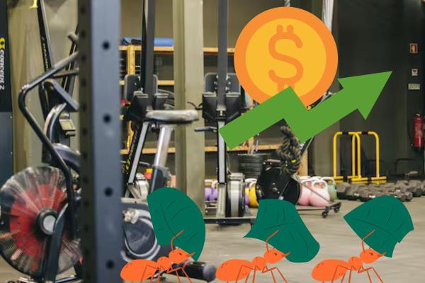 Cómo el gimnasio puede convertirse en un gasto hormiga; así puedes evitarlo