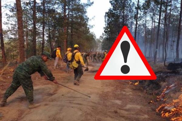 En Veracruz, 4 incendios forestales activos