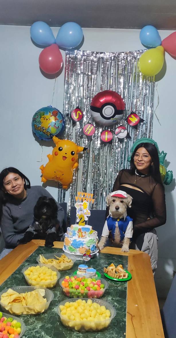 Al estilo Pokémon; así festejan el cumpleaños de este perrito