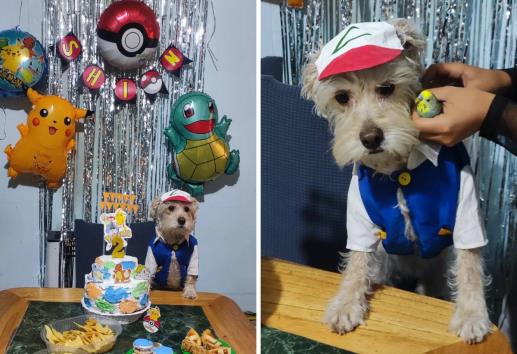 Al estilo Pokémon; así festejan el cumpleaños de este perrito