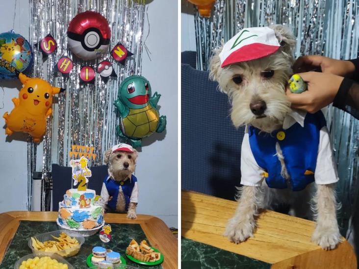 Al estilo Pokémon; así festejan el cumpleaños de este perrito