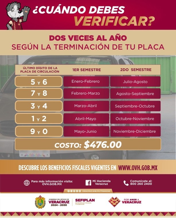 ¿Por qué han escaseado los hologramas para la verificación en Veracruz? Esto se sabe