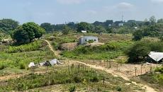 Pemex avanza en demolición de viviendas en predio invadido en Agua Dulce
