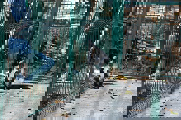 ¿Abrirá al público el zoológico de Veracruz este primero de mayo?
