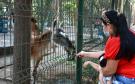 ¿Abrirá al público el zoológico de Veracruz este primero de mayo?