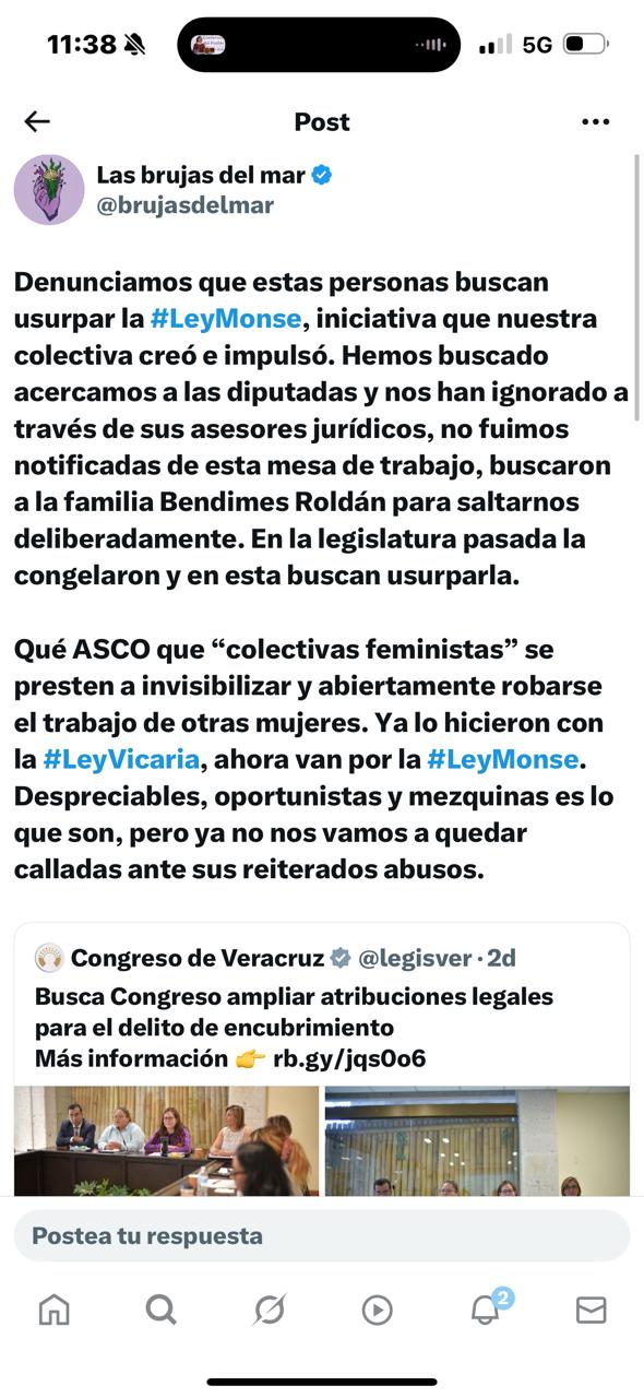 Defiende diputada proceso legislativo de la Ley Monse; acusa críticas violentas