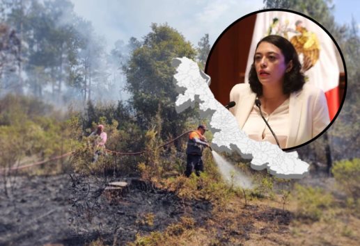No se rebasará cifra de hectáreas afectadas por incendios forestales en Veracruz en 2024: PC