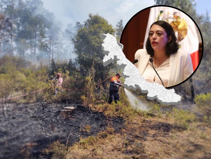 No se rebasará cifra de hectáreas afectadas por incendios forestales en Veracruz en 2024: PC