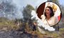No se rebasará cifra de hectáreas afectadas por incendios forestales en Veracruz en 2024: PC