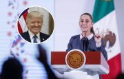 te-puede-interesar