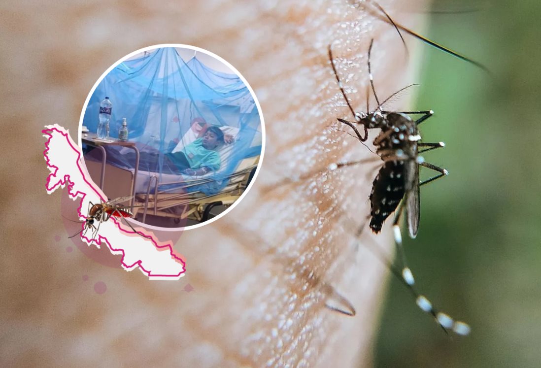 Alarma casos de dengue en Veracruz; ya suman 468 confirmados en 2025
