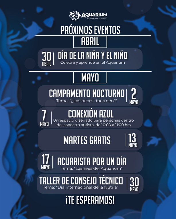 Anuncian campamento nocturno en el acuario de Veracruz: A esta hora ingresarán los niños
