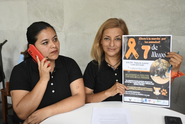 Tú también puedes gritar por ellos; protestarán contra maltrato animal en Xalapa