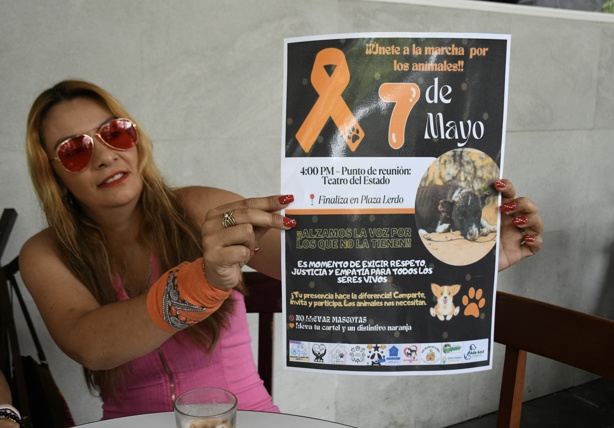 Tú también puedes gritar por ellos; protestarán contra maltrato animal en Xalapa