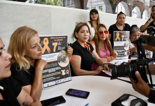 Tú también puedes gritar por ellos; protestarán contra maltrato animal en Xalapa