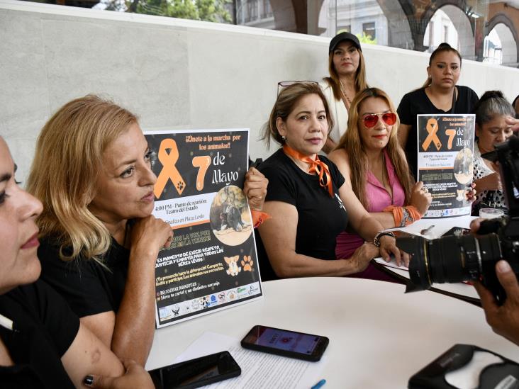Tú también puedes gritar por ellos; protestarán contra maltrato animal en Xalapa